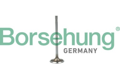 Borsehung b19015 клапан впускной фото №1