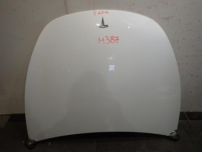 Капот tesla y 2020- фото №1