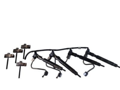 Інжектор форсунка mercedes w204 2.2 cdi a6510702887 фото №1