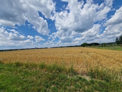 Działka, Orzesze, 826 m²