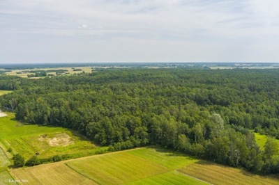 Działka, Borki, Szczucin (gm.), 6300 m²