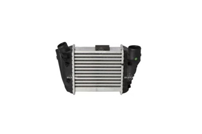 30754 RADUADOR INTERCOOLER  