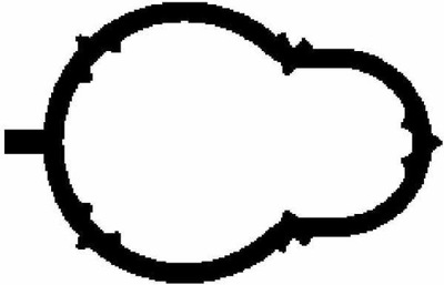 GASKET MANIFOLD  