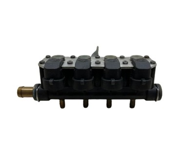 НАКЛАДКА ТОПЛИВНАЯ ГАЗА LPG STAG AC W02-4 67R-017064 110R-007065