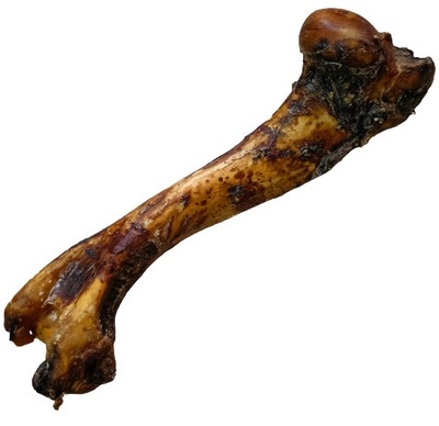 HUNDOG KOŚĆ JELENIA NATURALNY PRZYSMAK DLA PSA