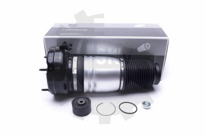 Esen skv 58skv070 амортизатор пневматический фото №1