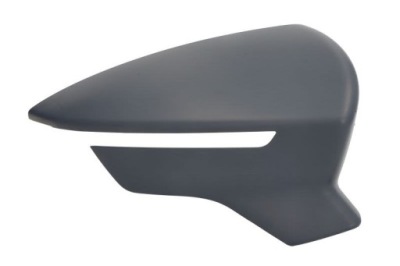 Защита зеркало наружного magneti marelli 182201569200 фото №1