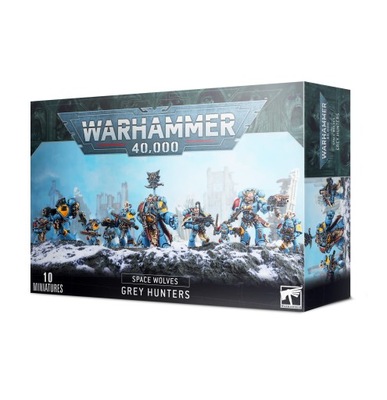 WH40K Grey Hunters | Space Wolves