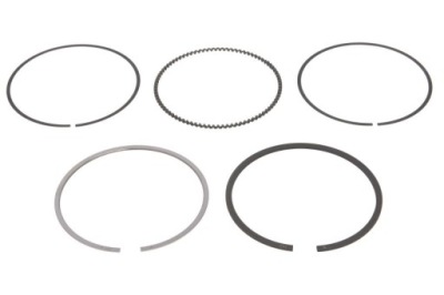 Набор колец поршня 120050006100 ne фото №1