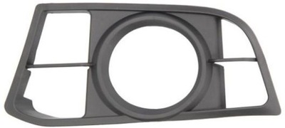 BLIC GRILLE BUMPER 6502-07-00679A7P  