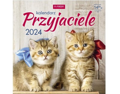 Kalendarz ścienny na ścianę PRZYJACIELE 2024 33x33 planszowy