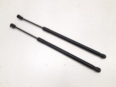 Audi r8 4.2 fsi 06- амортизатор амортизатори кришки задня фото №1