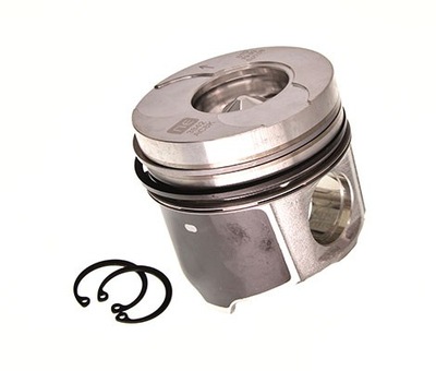 Поршень ne 7138420000 фото №1