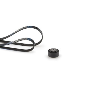 Набор ремень поликлиновый dacia logan sandero nissan kubistar renault cli фото №1