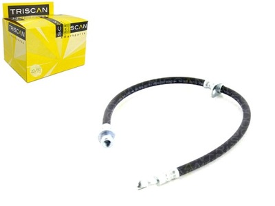 TRISCAN 8150 40131 FIL DE FREIN ÉLASTIQUE - milautoparts-fr.ukrlive.com