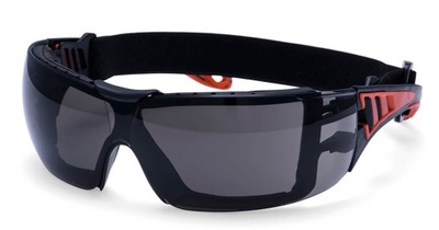 Okulary Tech Look Plus Portwest PS11 SKR UNI