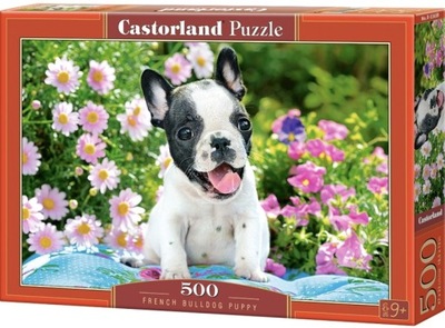 Castorland puzzle buldog francuski piesek 500 el