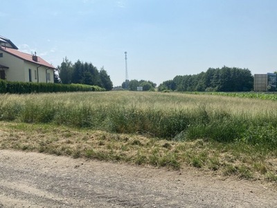 Działka, Tuszynek Majoracki, 2747 m²