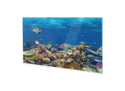 Obraz akryl Rafy koralowa, ryby, żółw 100x50 cm