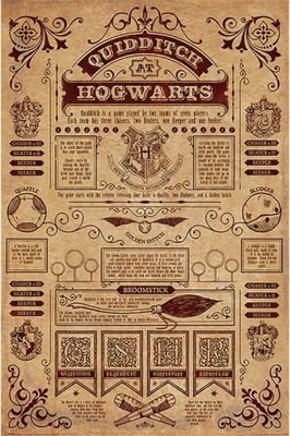 Harry Potter Quidditch at Hogwarts plakat 61x91cm