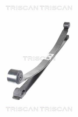 RESORTE FORD PARTE TRASERA TRANSIT CUSTOM TRANSIT MK 8 12- (1 1) (695/680) SZER. 76MM 8  