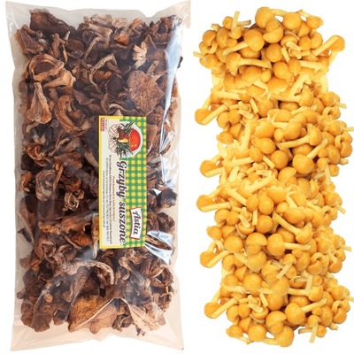 grzyby suszone GRZYBY NAMEKO 100g łuskwiak nameko