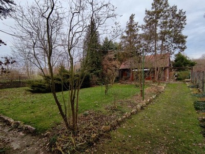 Działka, Borzygniew, Mietków (gm.), 770 m²