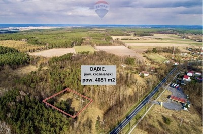 Działka, Dąbie, Dąbie (gm.), 4081 m²