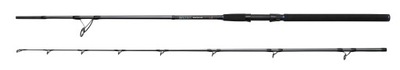 Wędka DAM Salt-X Shad&Pilk 2,70m 100-200g