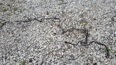 S4 b8 lift дроти пального підвіска 3.0 tfsi s5 фото №1