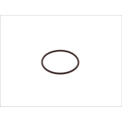 O-ring (45x2,5 FPM RD SH 80) Bosch F 00H N35 933