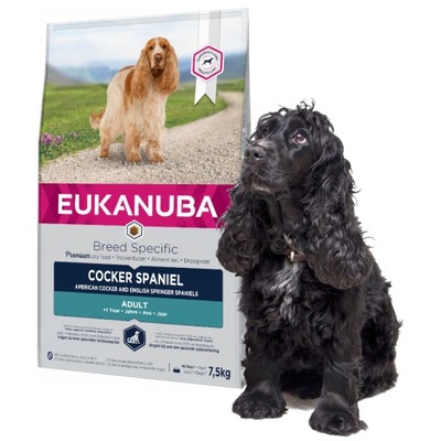 Eukanuba Dog Dry Breed Specific All Cocker Spaniel Sucha karma pies 7,5kg