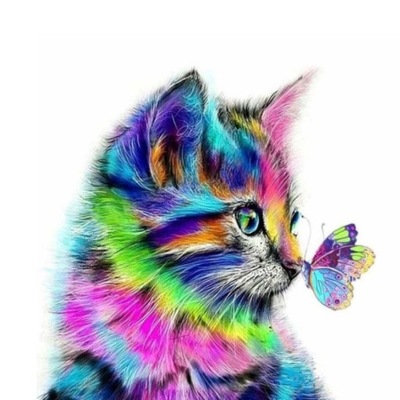 Obraz do Malowania po Numerach 40x50 Kot z Motylkiem