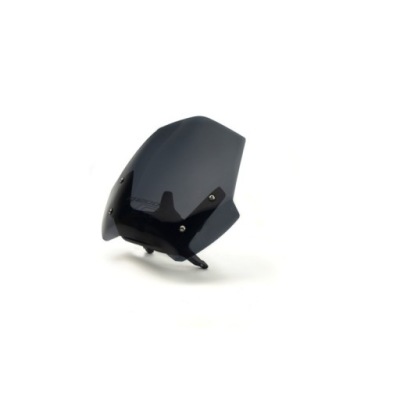 LOSTER СКЛО BMW R 1200 R / ОБТІЧНИК СКЛО BMW R1200R / СКЛО BMW R 1200 R 