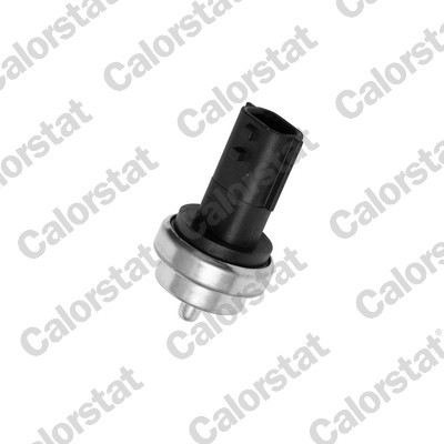 SENSOR TEMPERATURE FLUID COOLING RENAULT WS3019  