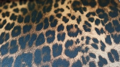 GRUBA TKANINA WELUROWA WZORY ZWIERZĘCE PANTERA 2