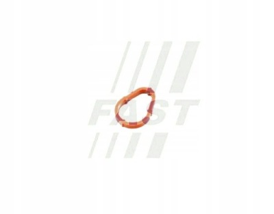 Прокладка насоса вакуумa do citroen nemo xsara фото №1