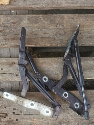 Петли крышки левый + правый ford mustang v 2011 фото №1