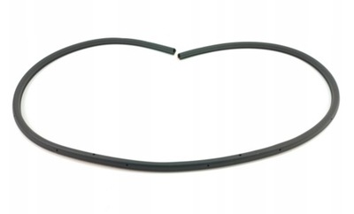 Прокладка двері зовнішня volkswagen arteon оригінал оригінальний номер фото №1