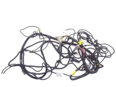 Daf lf 45 55 06-13 e4/5 джгут рами бака pali фото №1