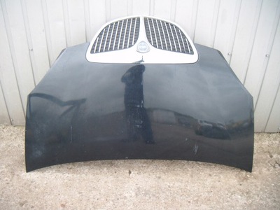 Lancia musa 04-12 632 капот з решітка фото №1