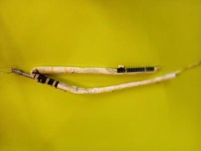 Шторка безпеки ліва kia optima iii 13r фото №1