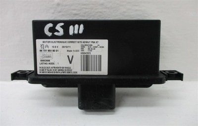 МОДУЛЬ СВЕТА КСЕНОН LED (СВЕТОДИОД ) CITROEN C5 III 9673195480