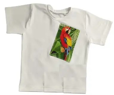 Koszulka Papuga rozmiar 104