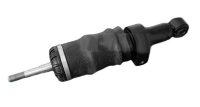 Амортизатор кабины iveco t eurotech подушка kpl. фото №1