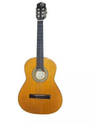 GITARA DISCOVERY TANGLEWOOD