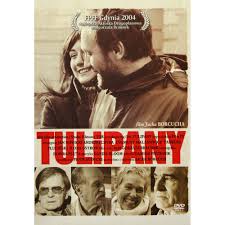 TULIPANY DVD CHYRA NOWICKI FREZEK BLOOM