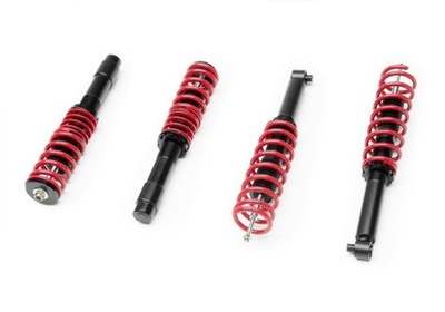 SUSPENSION SCREWED BMW 5-SERIES E39 CLASSIC RACELAND  