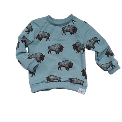bluza dresowa dziecięca bizony handmade błękit 80