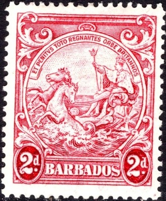 kol.bryt.Barbados sea horse 2 d.czysty *